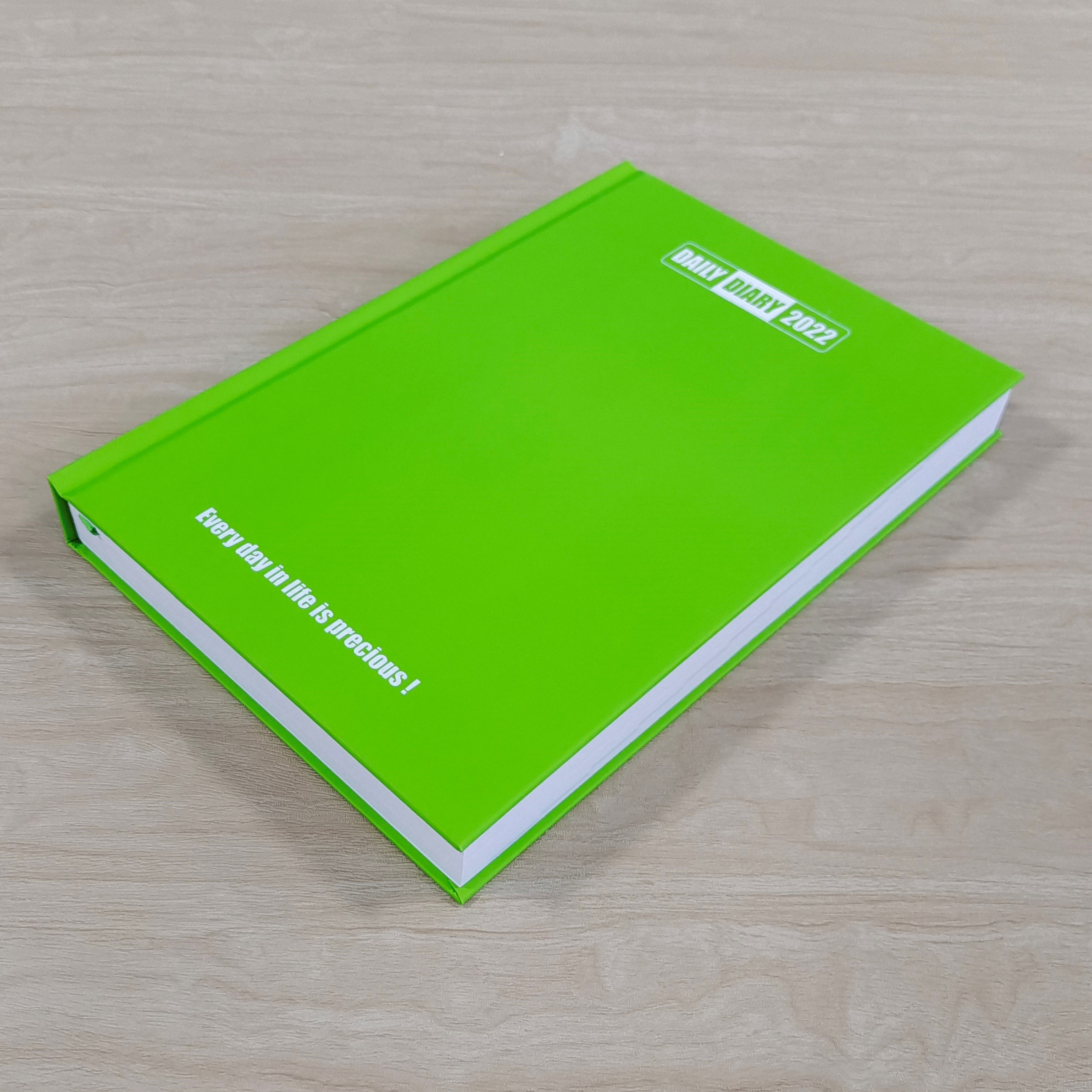 fsc-standered-2022-diary-a5-diary-with-daily-view-layout-pure-color